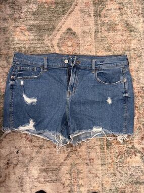 Zara Medium Blue Ripped Denim Cutoff Shorts